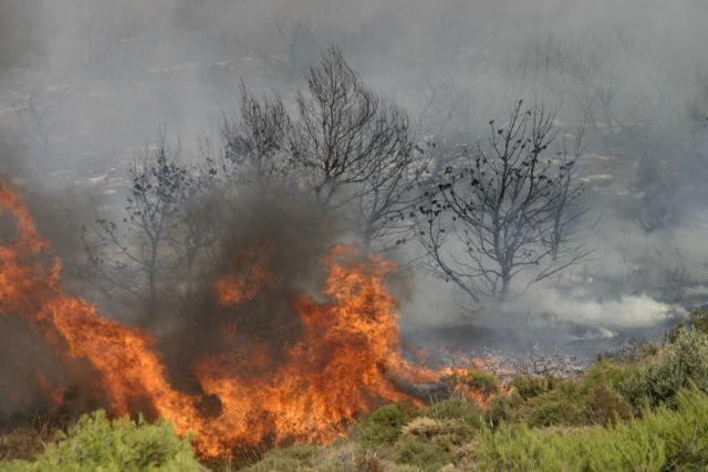 Φωτιές: Πολύ υψηλός κίνδυνος πυρκαγιάς για την Κυριακή – Σε «πορτοκαλί» συναγερμό έξι περιφέρειες