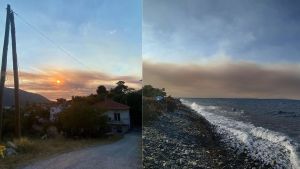 Ορατοί σε Ξάνθη, Κομοτηνή και Σαμοθράκη οι καπνοί από τη φωτιά στην Αλεξανδρούπολη