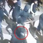 Δολοφονία στη Νέα Φιλαδέλφεια: Βίντεο-ντοκουμέντα από τους χούλιγκαν