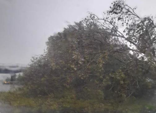 Καταιγίδα χτύπησε το Μιλάνο – Πτώσεις δέντρων και ζημίες σε κτίρια