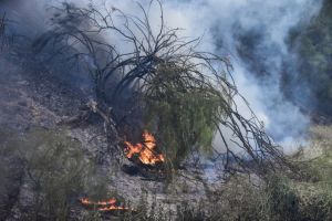 Επιχείρησε να βάλει φωτιά κοντά σε σπίτια στη Λάρισα
