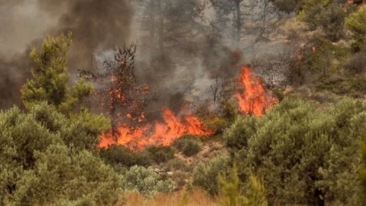Αγιο Ορος: Φωτιά σε δασική έκταση στην περιοχή Κερασιά