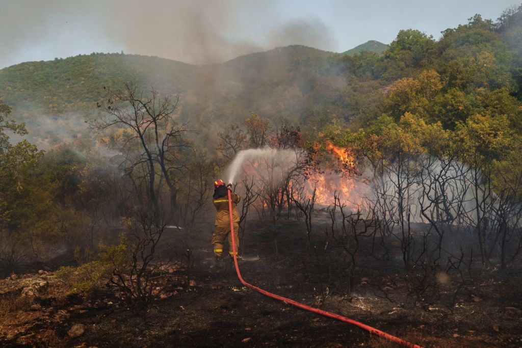 Φωτιά: Πυρκαγιά στη Μεσσηνία – Μεγάλη κινητοποίηση της Πυροσβεστικής
