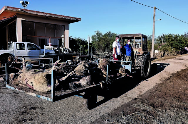 Συναγερμός για τη δημόσια υγεία από τα μολυσμένα νερά