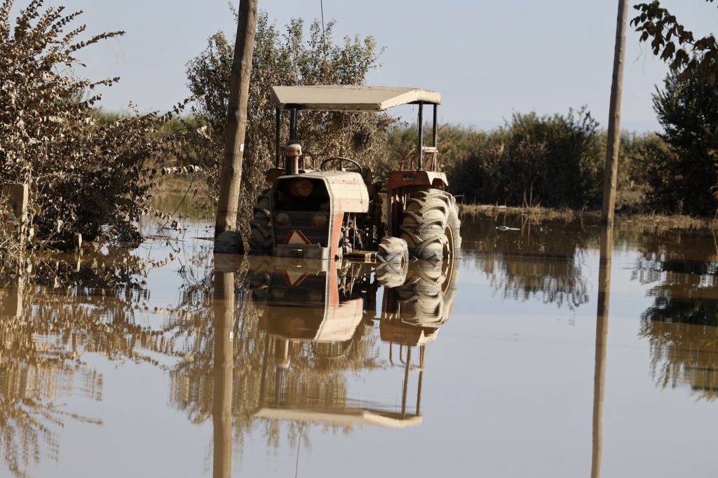 Αυγενάκης για Θεσσαλία: Μέχρι τα μέσα Οκτωβρίου οι προκαταβολές σε πληγέντες με ζωικό κεφάλαιο