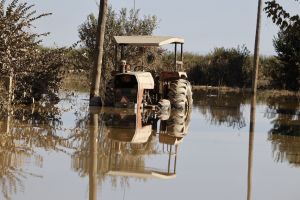 Αυγενάκης για Θεσσαλία: Μέχρι τα μέσα Οκτωβρίου οι προκαταβολές σε πληγέντες με ζωικό κεφάλαιο