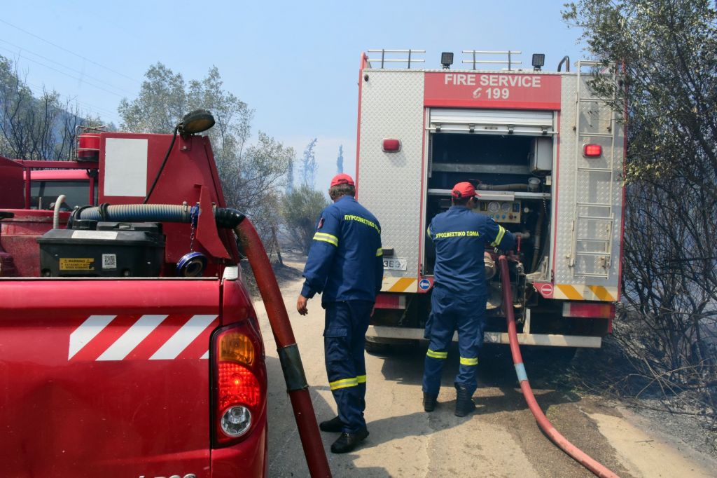 Φωτιά στην Ηλεία – Επιχειρούν ισχυρές δυνάμεις της Πυροσβεστικής
