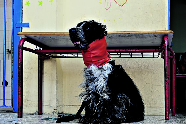 Τόλμη και γοητεία