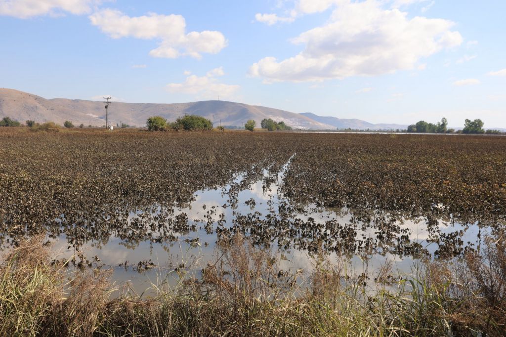Κακοκαιρία Daniel: Ανησυχία για τα λιμνάζοντα νερά – «Μόνο αν κινδυνεύει ανθρώπινη ζωή να έρχεστε σε επαφή»