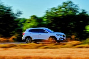 Το ηλεκτρικό πρόσωπο