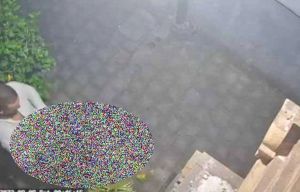 Ινδονησία: Απελάθηκε Ιταλός τουρίστας γιατί έκανε σεξ δημόσια