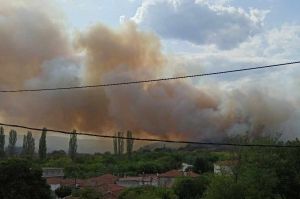 Ξανά φωτιά στον Έβρο: Καίγεται δάσος στο Σουφλί