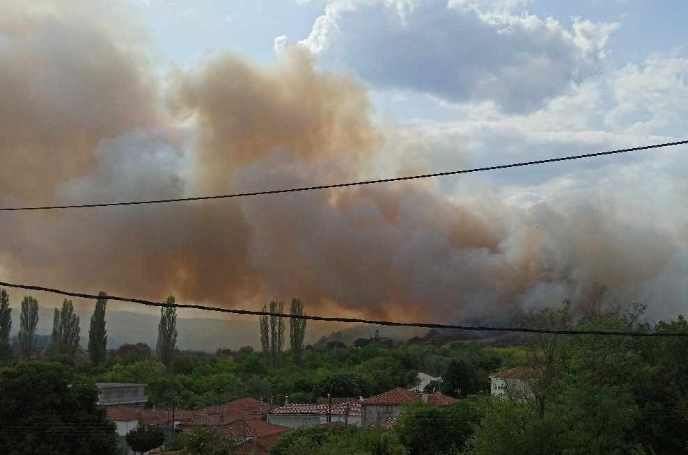 Ξανά φωτιά στον Έβρο: Καίγεται δάσος στο Σουφλί