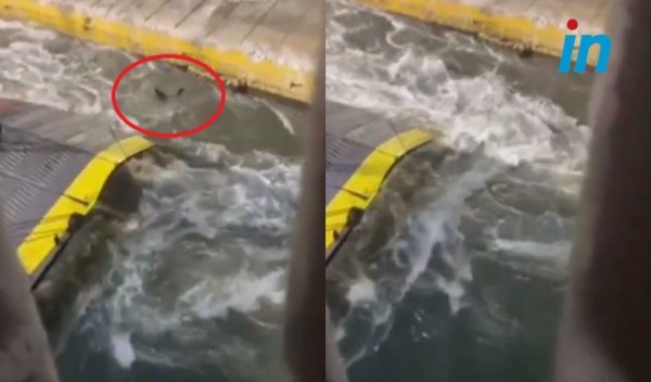 Σοκαριστικές μαρτυρίες επιβατών για τον θάνατο του Αντώνη– «Δεν έκαναν καμία προσπάθεια να τον σώσουν»