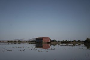 ΠΟΕΔΗΝ για Παλαμά: Οι ασθενείς εξετάζονται σε μολυσμένη περιοχή