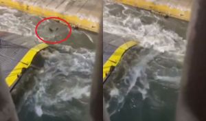 Συνελήφθησαν καπετάνιος και πλήρωμα για τον επιβάτη που πνίγηκε