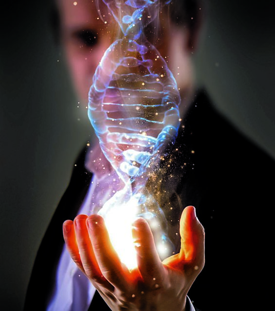 Εργοστάσια ζωής