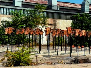 42 έργα για το ανθρώπινο αποτύπωμα στη Γη