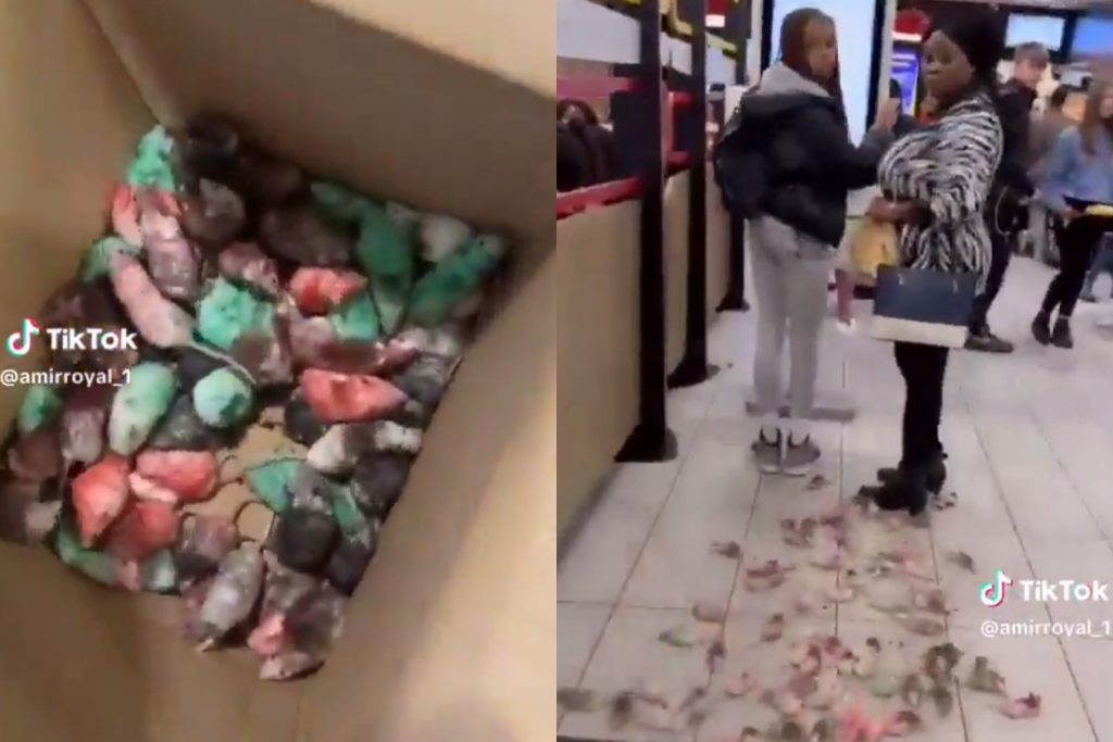 Πανικός σε McDonald’s: Ακτιβιστής αμόλησε δεκάδες ποντίκια βαμμένα με τα χρώματα της Παλαιστίνης