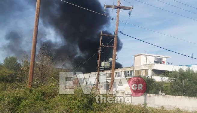 Συναγερμός για φωτιά σε εργοστάσιο στην Εύβοια