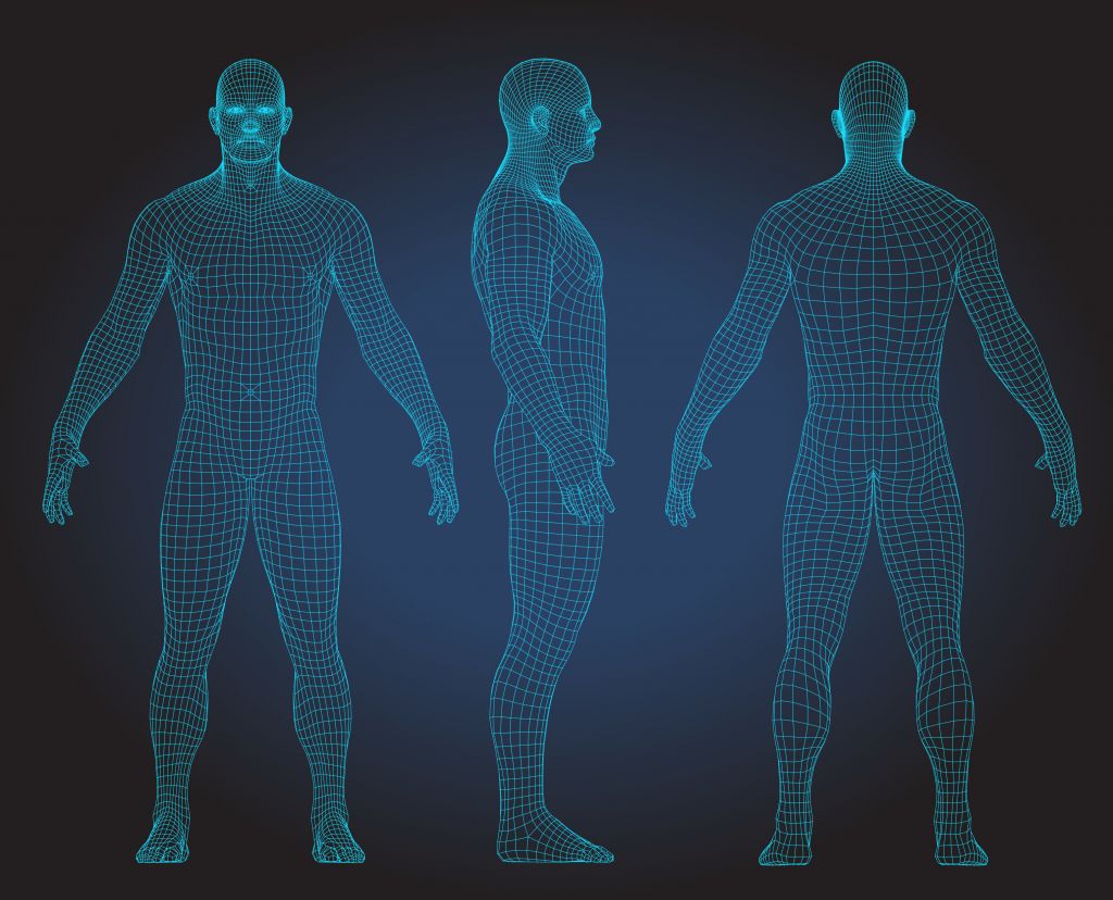 Επιστήμονες ανακάλυψαν… κατά λάθος ένα νέο όργανο στο ανθρώπινο σώμα