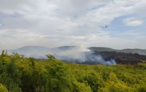 Σε εξέλιξη μεγάλη φωτιά στη Ζάκυνθο – Εσπευσαν αεροπλάνα και ελικόπτερα