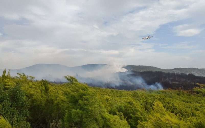 Σε εξέλιξη μεγάλη φωτιά στη Ζάκυνθο – Εσπευσαν αεροπλάνα και ελικόπτερα