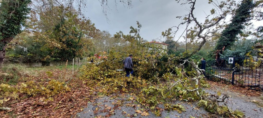 Πυροσβεστική: Πολλά τα προβλήματα από τους θυελλώδεις ανέμους – 217 κλήσεις για κοπές δένδρων