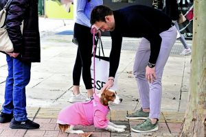 Σαμαράς εκ δεξιών