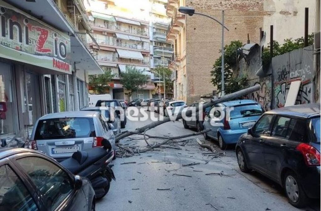 Κακοκαιρία: Θυελλώδεις άνεμοι στη Θεσσαλονίκη – Φθορές σε αυτοκίνητα από πτώσεις δέντρων [Εικόνες]