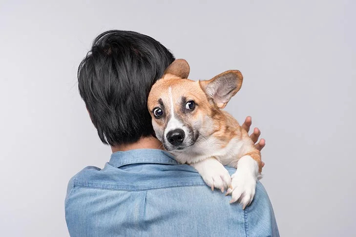 Πώς θα καταλάβετε ότι ο σκύλος σας φοβάται – Τα σημάδια που το μαρτυρούν