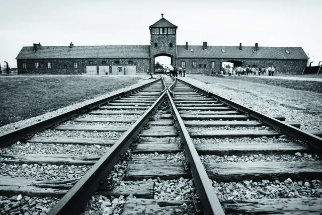 Η σοφία των επιζώντων