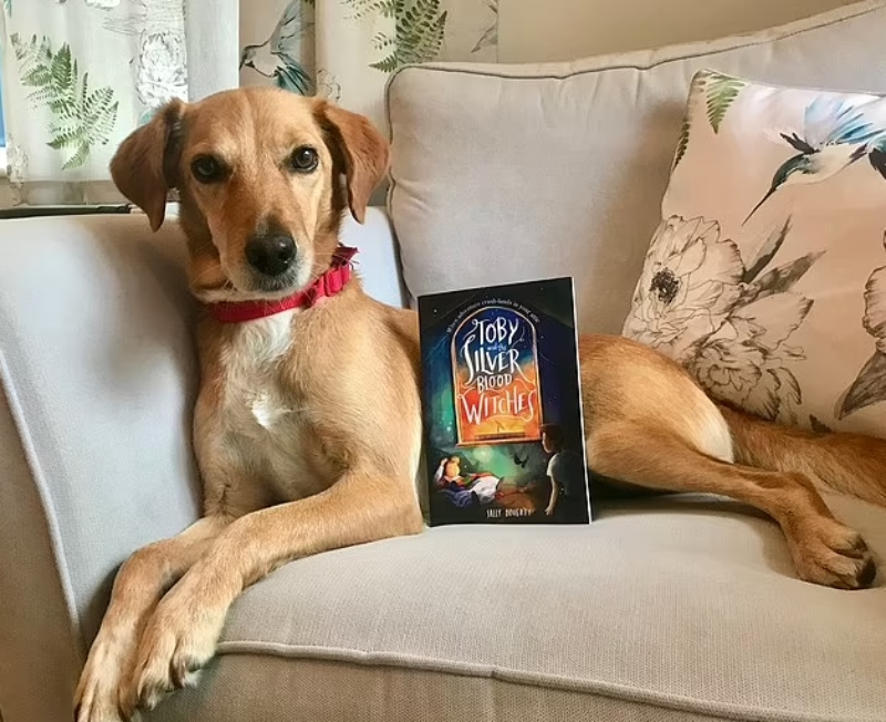 Το ωραιότερο Χριστουγεννιάτικο δώρο – Ένα βιβλίο για έναν τρίποδο σκύλο και τις περιπέτειες του