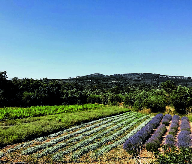 Από τη Χίο στην κορυφή της Ευρώπης