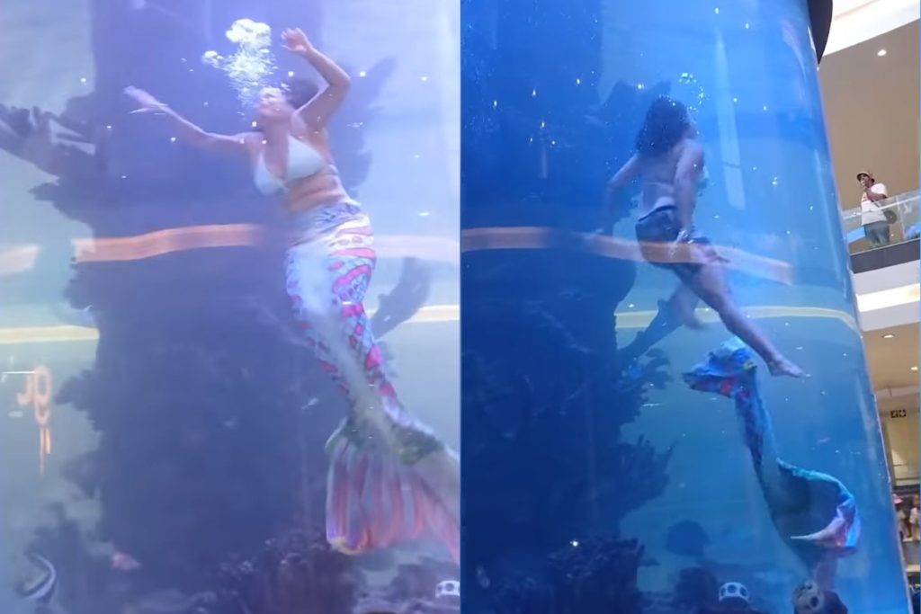 «Γοργόνα» κινδύνεψε να πνιγεί σε δεξαμενή με νερό – Σοκαριστικό βίντεο