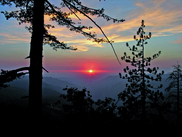 Ανοιξη της ψυχής