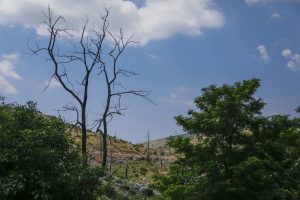 Περιοχές Natura: Καταργήθηκαν επτά φορείς διαχείρισης μέσα στις μέρες των Χριστουγέννων