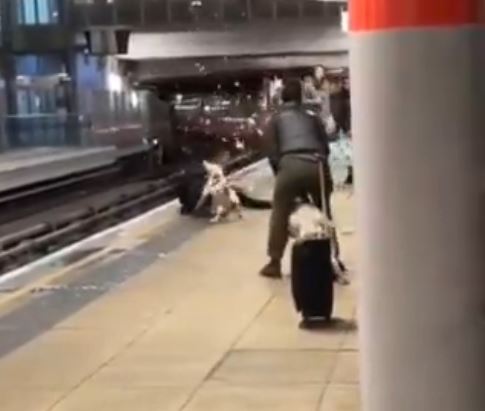 Βρετανία: Η τρομακτική στιγμή που σκυλιά επιτίθενται σε άντρα σε σταθμό τρένου
