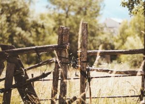 Το χωριό… φάντασμα στην Ελλάδα που γέμισε ζωή 60 χρόνια μετά