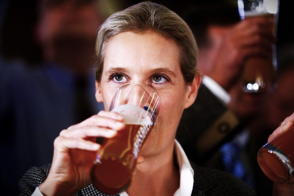 Οι Γερμανοί σκέφτονται να απαγορεύσουν την Ακροδεξιά