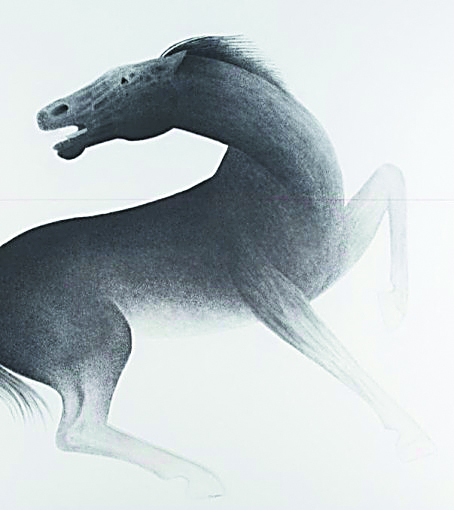 Το άλογο στον μύθο και την ιστορία της Ελλάδας