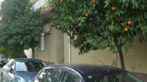 Συγκλονιστικές αποκαλύψεις για το έγκλημα στο Περιστέρι – Στο φως ιστορικό ενδοοικογενειακής βίας