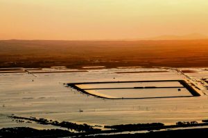 Σχεδιάζεται η δημιουργία μιας νέας λίμνης Κάρλας