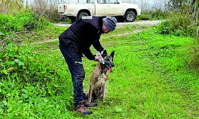 Η σορός του Μπάμπη βρέθηκε, ο κρεοπώλης επιμένει