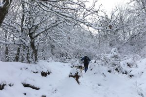 Καιρός: Χειμωνιάτικο τριήμερο με βροχές, καταιγίδες, χιόνια και παγετό – Πού θα χτυπήσει η κακοκαιρία