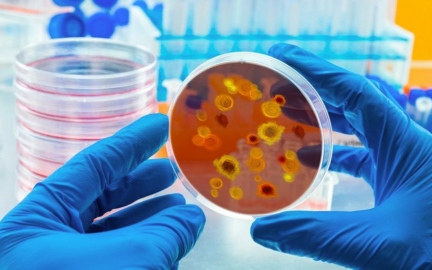 Νόσος Χ – Πώς οι επιστήμονες προετοιμάζονται για την επόμενη πανδημία