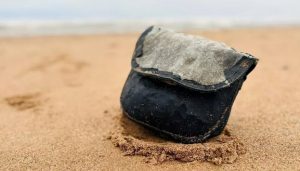 Σκωτία: Βρήκε την τσάντα που της έκλεψαν πριν 30 χρόνια