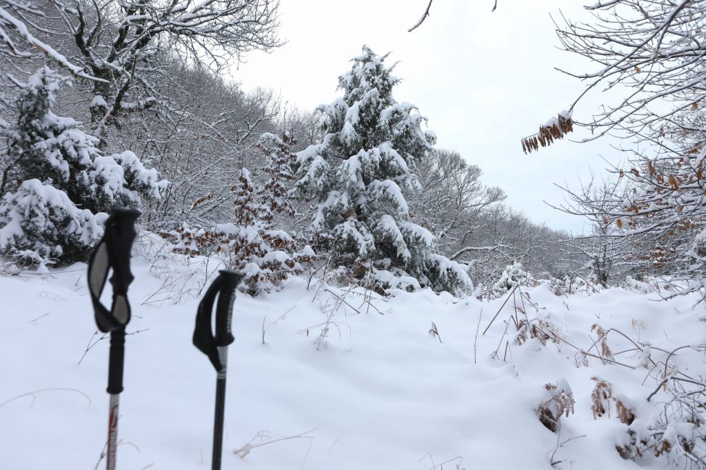 Ανοιξιάτικος ο καιρός και την Παρασκευή και… τσουχτερό κρύο και χιόνια το Σαββατοκύριακο