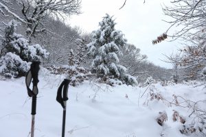 Ανοιξιάτικος ο καιρός και την Παρασκευή και… τσουχτερό κρύο και χιόνια το Σαββατοκύριακο