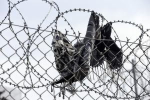 Το κράτος δικαίου στην Ελλάδα αμαυρώνεται από βία, pushbacks και ανθρωπιστικές οργανώσεις στο εδώλιο